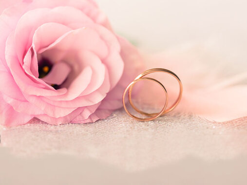 Hochzeit, Ehe, heiraten, Ehesakrament, Ehevorbereitung - Rosenblüte, Feder, zwei Goldringe
