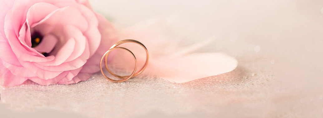 Hochzeit, Ehe, heiraten, Ehesakrament, Ehevorbereitung - Rosenblüte, Feder, zwei Goldringe
