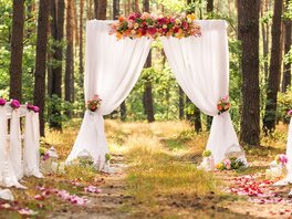 Hochzeitskulisse im Wald