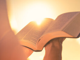 Eine Person, die die Bibel liest