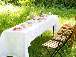 Mit weißem Tuch und Kuchen gedeckte Biergarnitur mit weiteren Klappstühlen auf einer grünen Wiese.