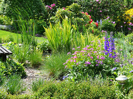 ein blühender Garten
