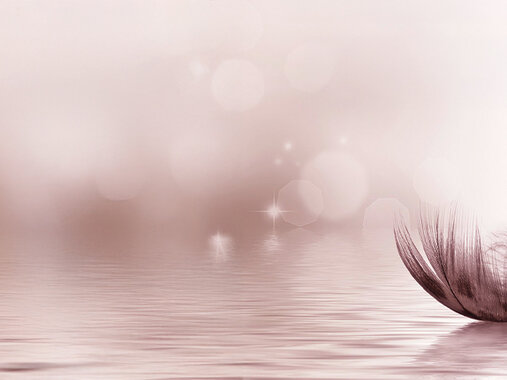Feder auf Wasser