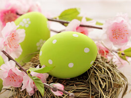 Ostern und Osterfestkreis - grün gefärbte Ostereier mit weißen Punkten neben Zweigen mit rosa Blüten.