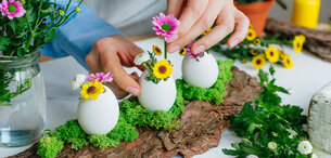 Drei Eier mit Blumen auf Moos und Baumrinde