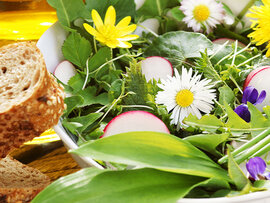 Bunter Salat mit Kräutern, Radieschen und essbaren Blumen.