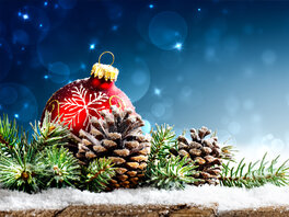 Zapfen, Tannengrün und rote Christbaumkugel auf Schnee.