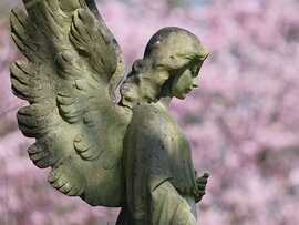 Seitliches Profil einer Engelsstatue mit aufgerichteten Flügeln und schulterlangem Haar vor unscharfen rosa Kirschblütten im Hintergrund.