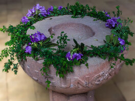 Steinernes Taufbecken umrandet von einem Kranz aus frischen grünen Zweigen und violetten Blumen.