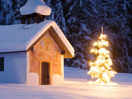 verscheintes Häusschen neben hell leuchtendem Weihnachtsbaum mit Tannenwald im Hintergrund