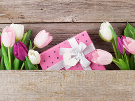 Weiße, rosafarbene und pinke Tulpen. Pinke Geschenkbox mit weißer Schleife. 