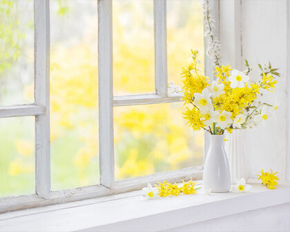 Vase mit Forsythien-Strauß vor Fenster