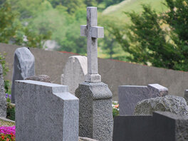 Rückansicht einer Reihe unterschiedlicher Grabsteinen. Einer mit aufgesetzem Kreuz.